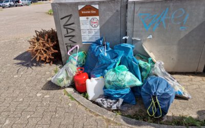 Frühjahrsputz 2025